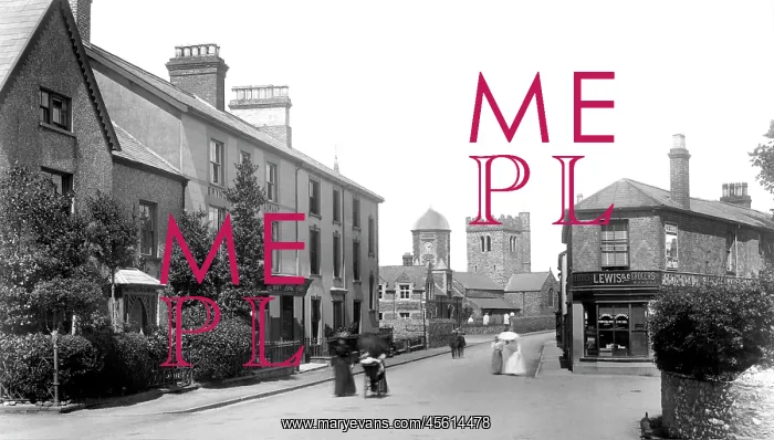  : Towyn, College Green 1901