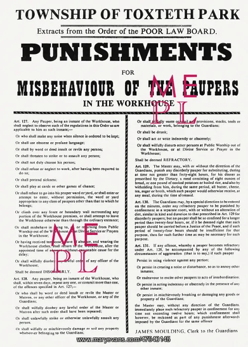 : Toxteth Workhouse, Liverpool - Punishments Poster : Toxteth Workhouse, Liverpool - Punishments Poster
