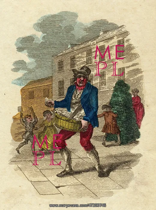  : TOY LAMBS TO SELL / 1804