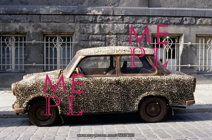 : Trabant with leopard fur : Trabant with leopard fur