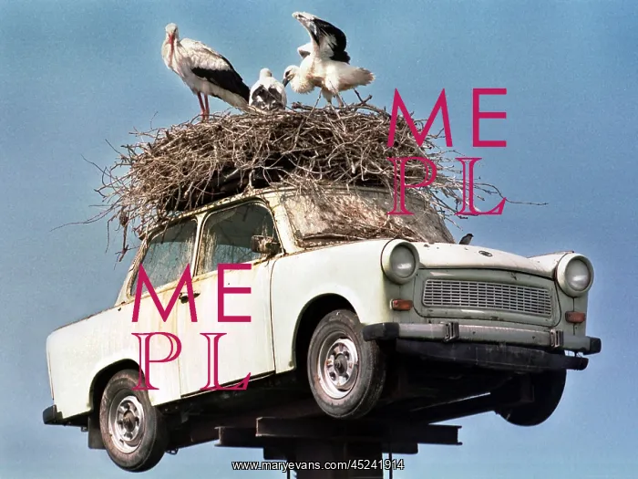 : Trabant as stork's nest : Trabant as stork's nest