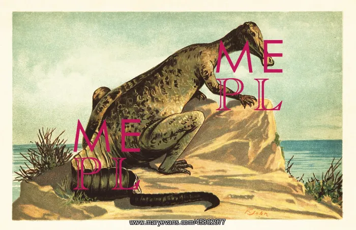 : Trachodon mirabilis, extinct hadrosaurad dinosaur : Trachodon mirabilis, extinct hadrosaurad dinosaur