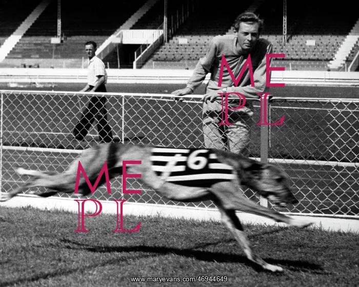 : Track Athlete Brian Hewson 1933 - : Track Athlete Brian Hewson 1933 -