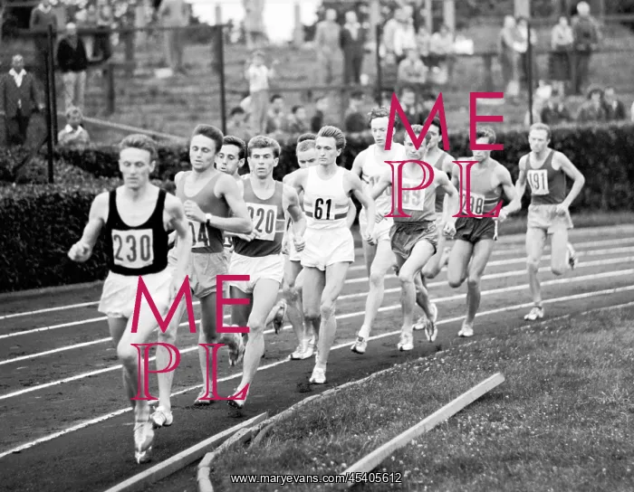 : Track and field - 1500 meter run - competitors : Track and field - 1500 meter run - competitors