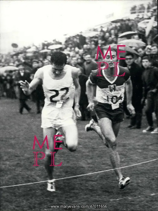 : Track And Field - Decathlon - Javelin : Track And Field - Decathlon - Javelin