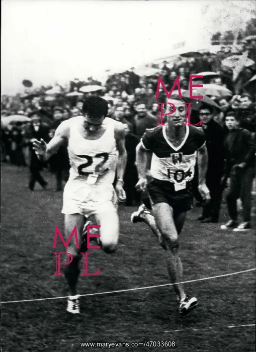 : Track And Field - Decathlon - Javelin : Track And Field - Decathlon - Javelin