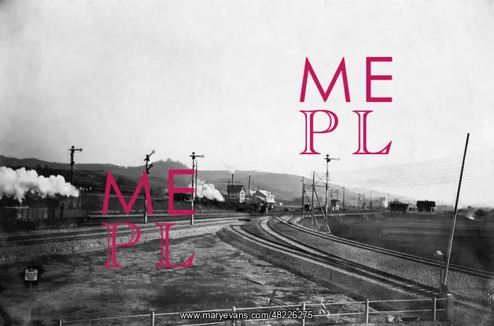 : Tracks, 1905 : Tracks, 1905