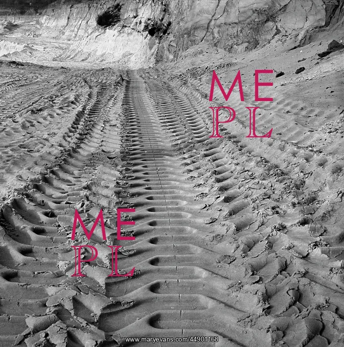 : Tracks left on a sandy beach : Tracks left on a sandy beach