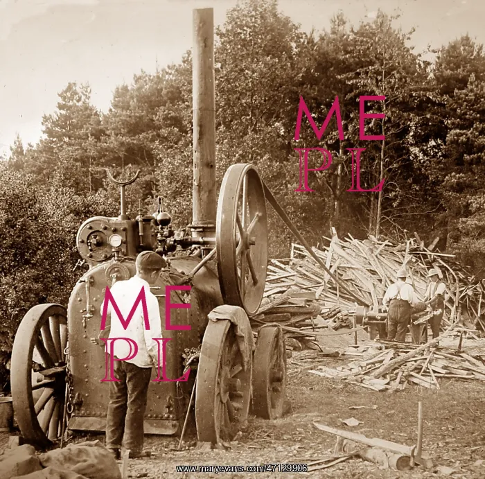  : Traction engine powering a saw mill, Victorian period