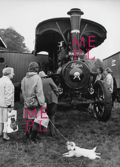 : Traction Engine Rally, Astle Park, Cheshire : Traction Engine Rally, Astle Park, Cheshire