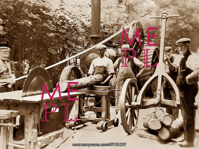  : Traction Engine at a sawmill
