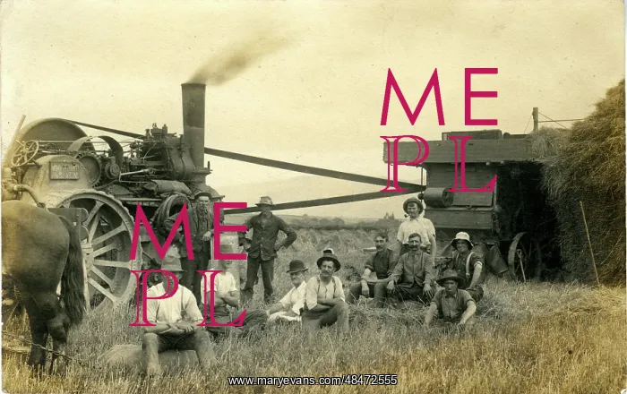 : Traction Engine & Threshing Machine, New Zealand : Traction Engine & Threshing Machine, New Zealand