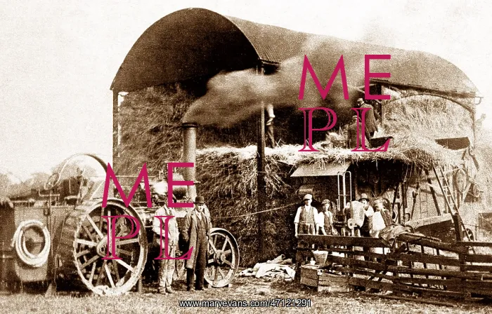  : Traction Engine and Threshing Machine Victorian period