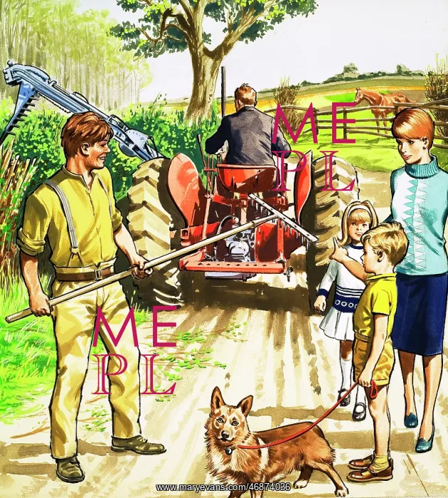 : Tractor driver and mower : Tractor driver and mower