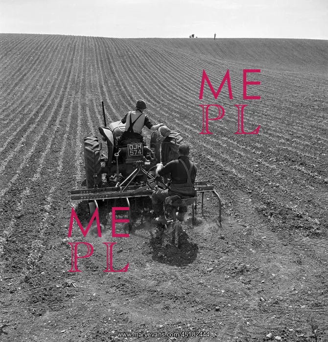 : Tractor Ploughing Field : Tractor Ploughing Field