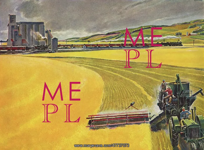  : Tractor Plowing Field