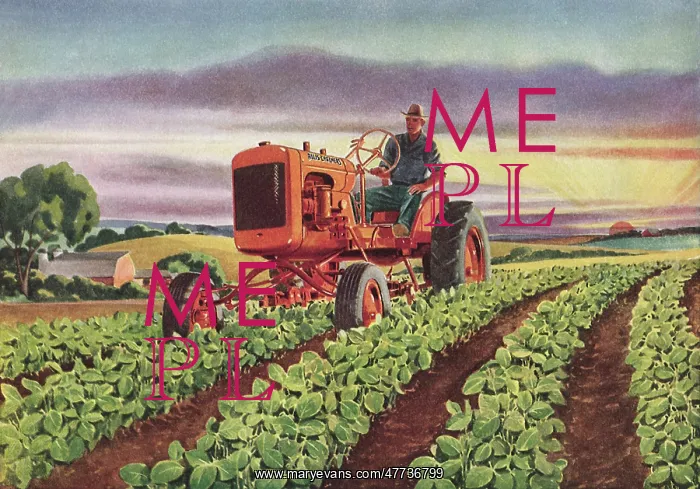  : Tractor in Soybean Field