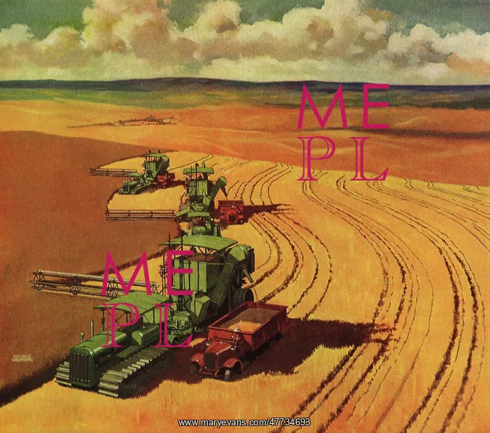  : Tractors in Wheatfield