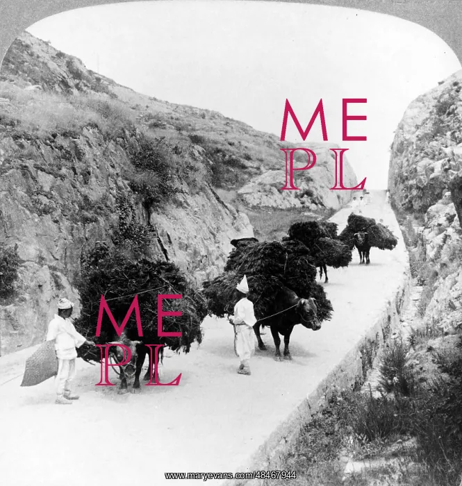 : Traders on their way to m market in Korea circa 1900 : Traders on their way to m market in Korea circa 1900