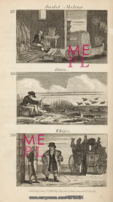 : Trades in Regency England: basket making, geese plucking : Trades in Regency England: basket making, geese plucking