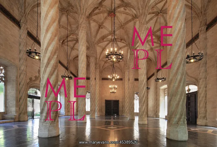 : Trading Hall, Silk Exchange, Valencia, Spain : Trading Hall, Silk Exchange, Valencia, Spain