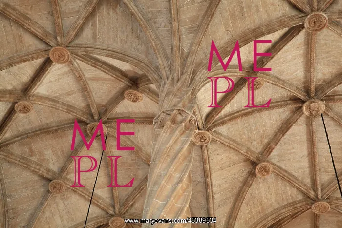 : Trading Hall, Silk Exchange, Valencia, Spain : Trading Hall, Silk Exchange, Valencia, Spain