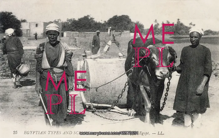 : Traditional road making in Upper Egypt : Traditional road making in Upper Egypt