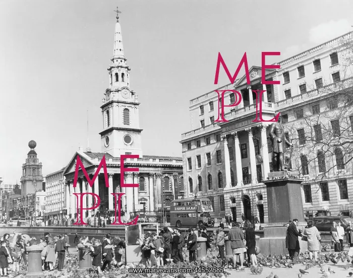 : TRAFALGAR SQUARE : TRAFALGAR SQUARE