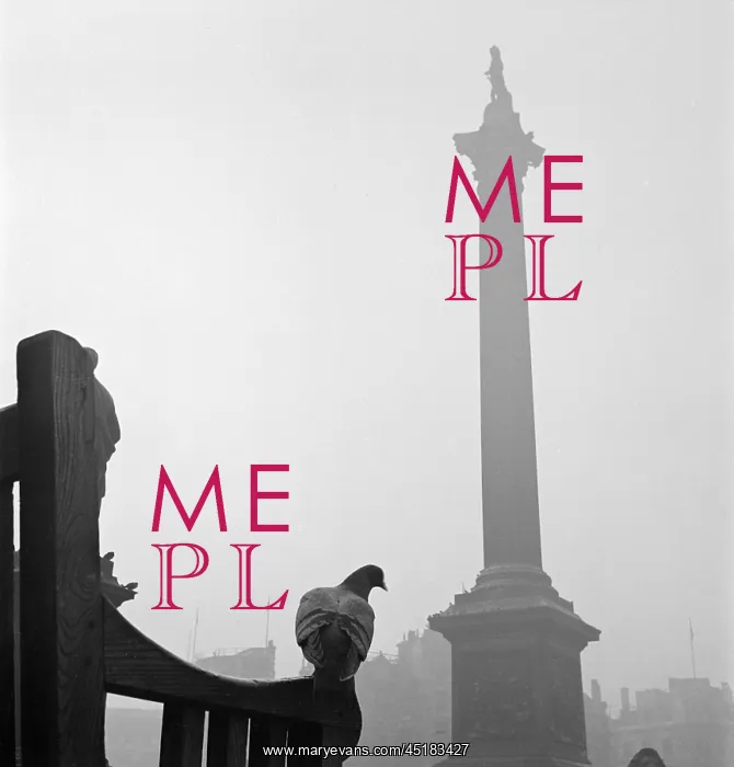: Trafalgar Square : Trafalgar Square