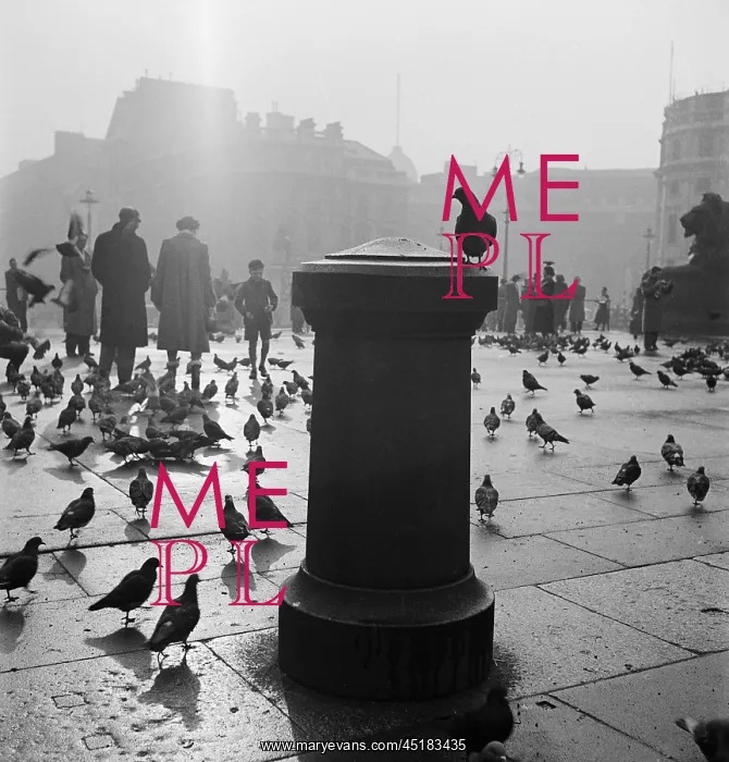 : Trafalgar Square : Trafalgar Square