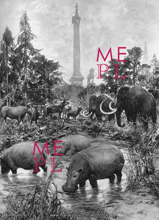 : Trafalgar Square in the Ice Age : Trafalgar Square in the Ice Age