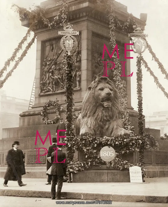 : Trafalgar Square lion : Trafalgar Square lion
