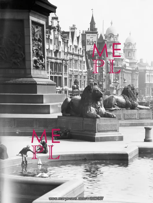 : TRAFALGAR SQUARE LIONS : TRAFALGAR SQUARE LIONS