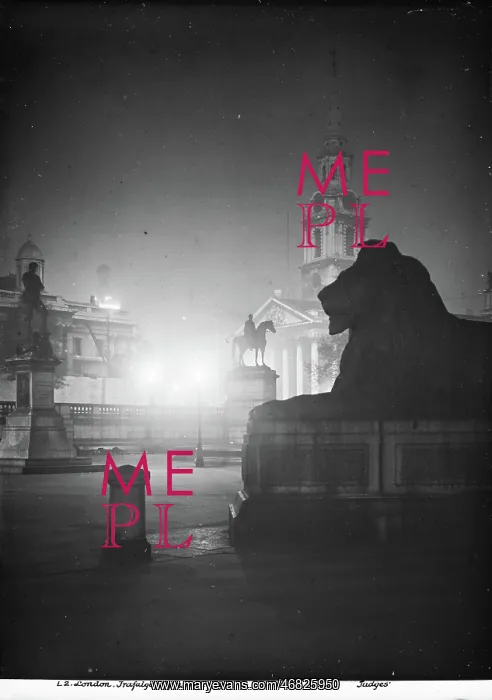 : Trafalgar Square at Night : Trafalgar Square at Night