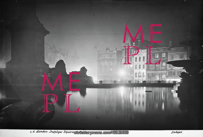 : Trafalgar Square at Night : Trafalgar Square at Night