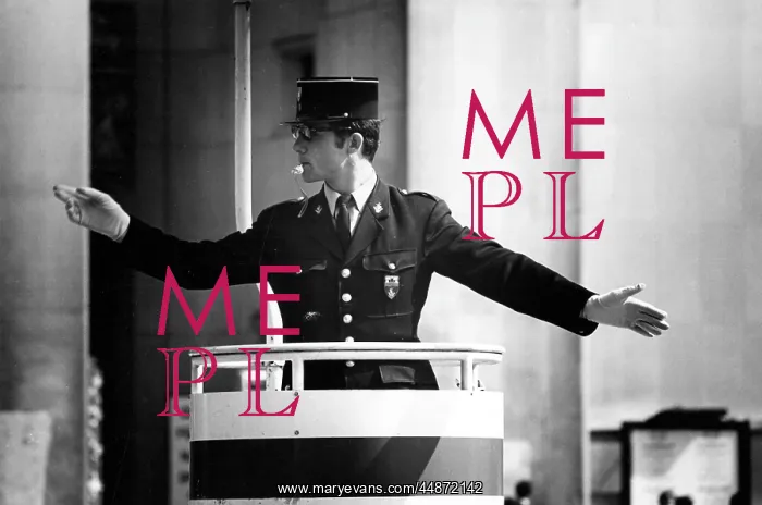 : TRAFFIC GENDARME : TRAFFIC GENDARME