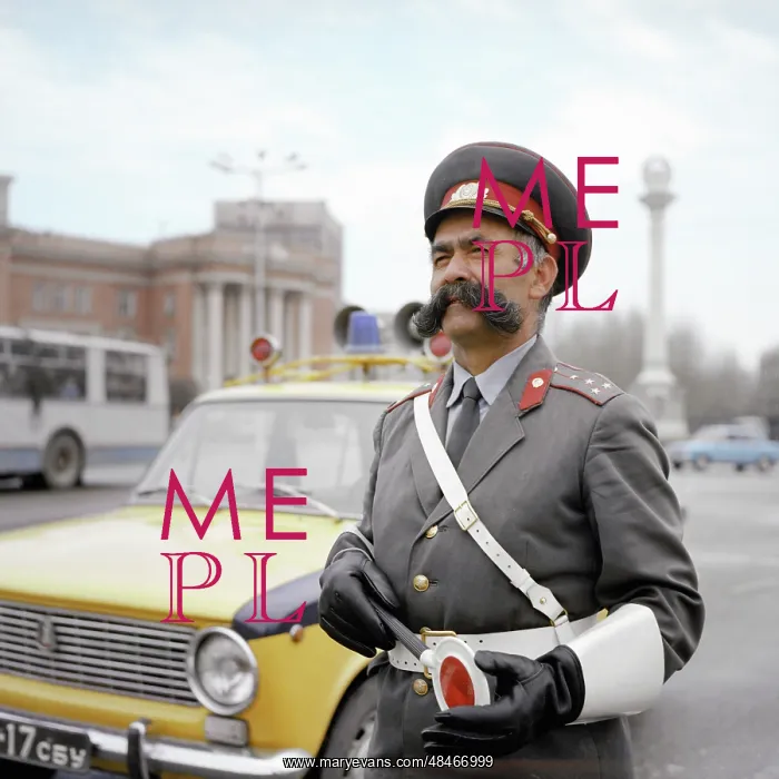 : Traffic officer, 1982 : Traffic officer, 1982