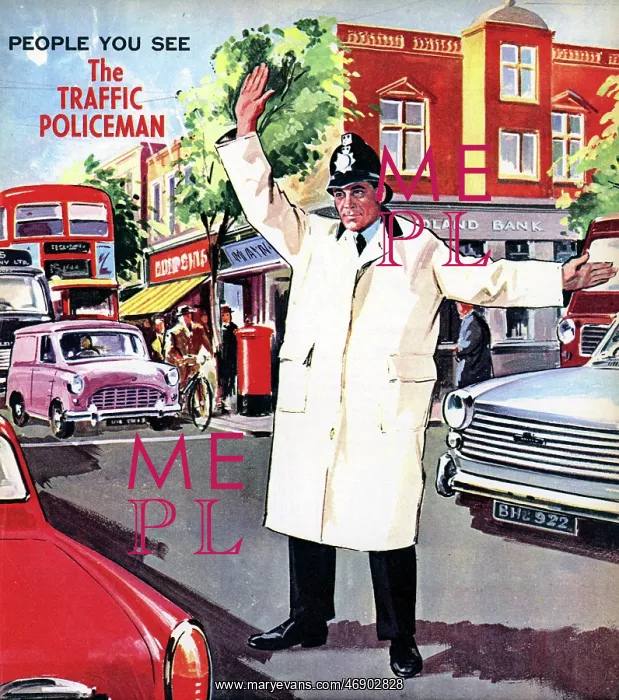 : The Traffic Policeman : The Traffic Policeman