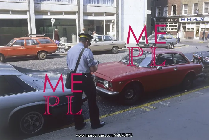 : TRAFFIC WARDEN : TRAFFIC WARDEN
