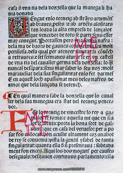 : Tragedy of Lancelot du Lac by Father Grass : Tragedy of Lancelot du Lac by Father Grass