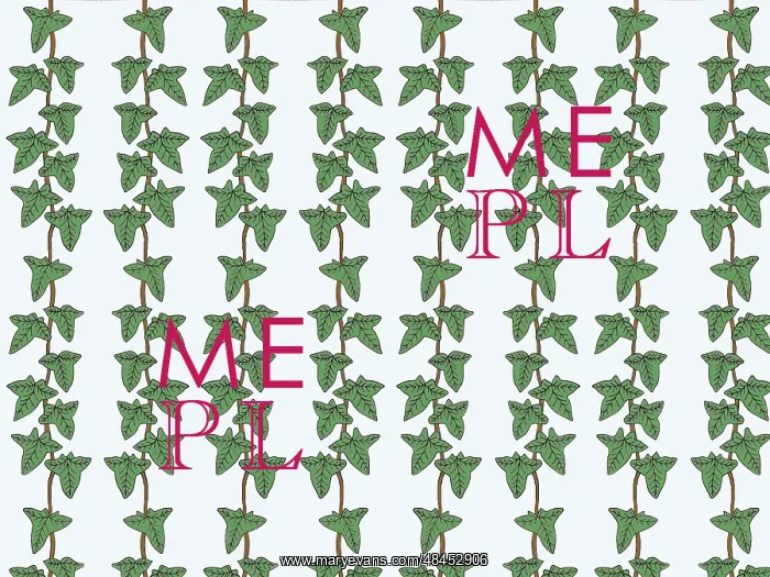  : Trailing ivy repeating pattern