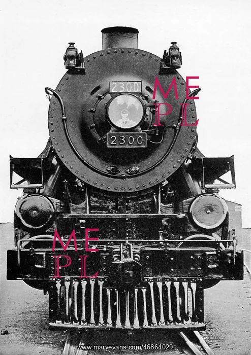 : A train of the Canadian Pacific Railway : A train of the Canadian Pacific Railway