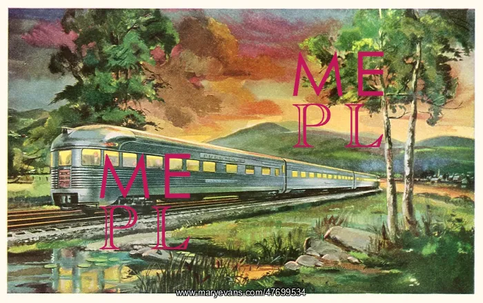 : Train in Countryside : Train in Countryside
