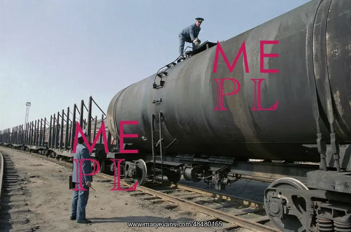 : Train customs inspection : Train customs inspection