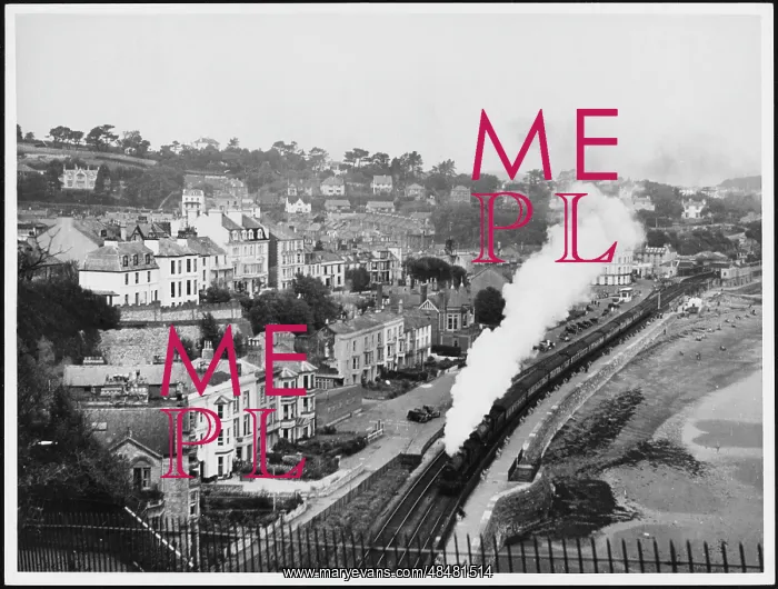 : TRAIN AT DAWLISH : TRAIN AT DAWLISH