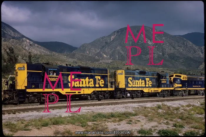 : Train - Freight - Railroad - Transportation : Train - Freight - Railroad - Transportation