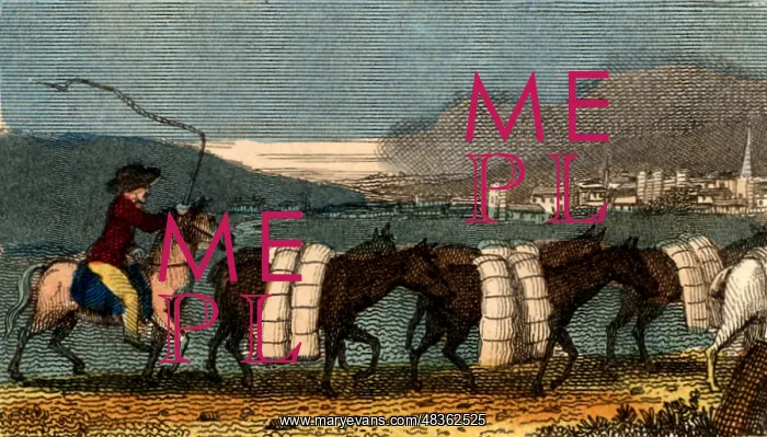 : A train of pack horses carrying bolts (lengths) : A train of pack horses carrying bolts (lengths)