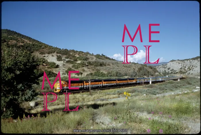 : Train - Railroad - Diesel - Transportation : Train - Railroad - Diesel - Transportation