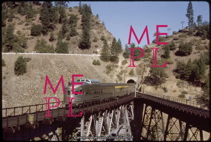 : Train - Railroad - Diesel - Transportation : Train - Railroad - Diesel - Transportation