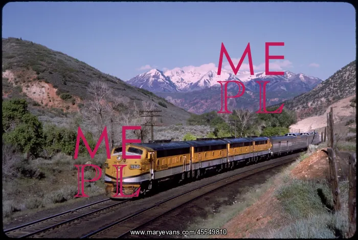 : Train - Railroad - Diesel - Transportation : Train - Railroad - Diesel - Transportation